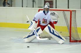 Daniel vladař (born august 20, 1997) is a czech ice hockey goaltender. Daniel Vladar Named Player Of The Month The Czech List