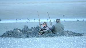 Chasse à la journée dans la somme; La Chasse Du Gibier D Eau Est Ouverte En Baie De Somme Et En Baie D Authie