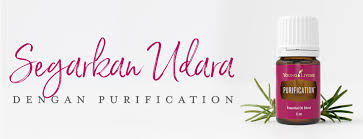 Menurut penelitian, neroli oil mengandung konstituen biologis aktif yang mampu. Kegunaan Dan Faedah Campuran Minyak Pati Purification Young Living Young Living Blog