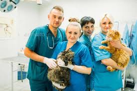 Veterinarians Poses With Cats Veterinary Clinic In 2020 Veterinary Clinic Vet Clinics Sick Dog