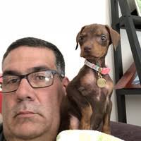 Tad Shaw Email & Phone Number