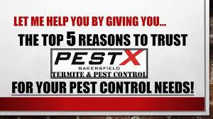 Your premiere bug exterminators, california certified company. Pest Control In Bakersfield Bakersfield Pest Control Companies Pestxhome