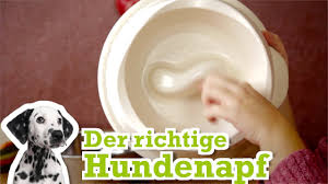 Bei der wahl des richtigen hundenapfes gibt es mehr. Hundenapf Test Empfehlungen 02 21 Petmeister
