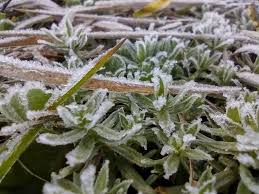 Fica a dica sobre o clima! Segunda Tem Previsao De Chuva Congelada E Queda De Flocos De Neve No Rs Radio Ma