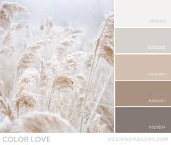 Beige is a light yellowish brown. Color Love Soft Neutrals Designer Blogs