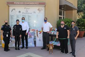 Maybe you would like to learn more about one of these? Mission Viejo Animal Services Center Posts Facebook