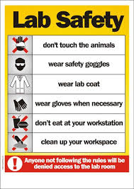 Safety Poster Lab Safety Science Lab Safety Science Lab Safety Rules Lab Safety Rules