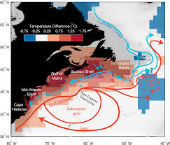 The gulf stream is a result of the wind pattern acting on most of the north atlantic ocean. Changes In The Gulf Stream Preceded Rapid Warming Of The Northwest Atlantic Shelf Communications Earth Environment
