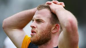 AFL 2019: Tom Mitchell injury, Hawthorn replacements, James Worpel, James  Cousins, Daniel Howe