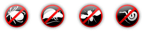 Rats are invasive, inconspicuous, and fast, which makes it challenging to catch them. Pest Control In Lawton Ok Advanced Pest Termite