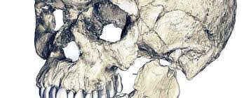 Während die meisten territorien in deutschland auf gesetze verzichteten, verpflichtete bayern 1862 alle fuhrwerke, entgegenkommenden fuhr werken nach rechts auszuweichen. Neue Funde In Marokko Die Menschheit Ist Hunderttausend Jahre Alter Als Gedacht Wissen Tagesspiegel