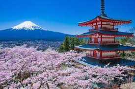10 Best Places To Spot Cherry Blossom Near Mt Fuji Trip101
