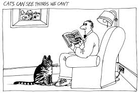 Humans Have Invisible Stripes - Media Chomp