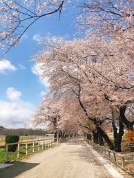 公元 2021 年 4 月 6 日 星期二 | 便捷搜索: O Zmozwv0lc4cm