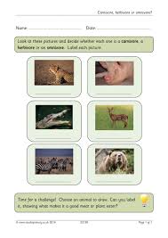 Carnivore Herbivore Or Omnivore Omnivore Herbivore Carnivores