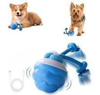 interactive dog ball near me - TikTok Shop