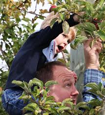 East Bridgewater: Apple-picking season at C.N. Smith Farm