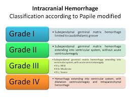 Image result for Hemorrhage Classification