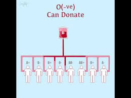 blood types compatibility chart youtube