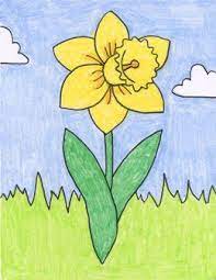 How To Draw A Daffodil Art Projects For Kids Flower Drawing For Kids Flower Drawing Kids Art Projects