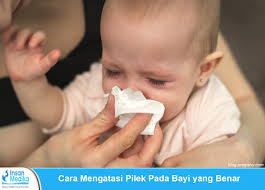 Jadi jika anak terserang batuk sebaiknya gunakan cara alami, jika. Cara Mengatasi Pilek Pada Bayi Yang Benar