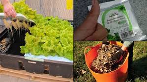 Baja organik dibuat dari bahan yang berasal dari makhluk hidup. Baja Organik Buatan Sendiri Hapuskan Semut Lalat Guna Spray Buatan Sendiri Keluarga Bebas Pathogen Dan Parasit 5 Julaosin