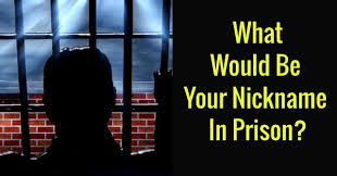 And you know what, top it all off with some general trivia questions to test your knowledge. What Would Be Your Nickname In Prison Quizlady