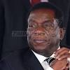 Immagine storia relativa a mozambique tratta da The Herald