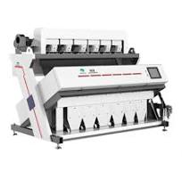 Peanut optical sorting machines-Aflatoxin removal
