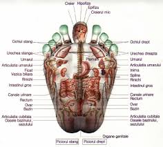 In ambele talpi, la mijlocul scobiturii piciorului se afla zona care trateaza afectiunile rinichilor. Reflexoterapie Secretul Vietii Lungi