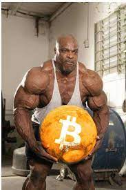 (btc) hide this posting restore restore this posting. My Heaviest Bag Bitcoin
