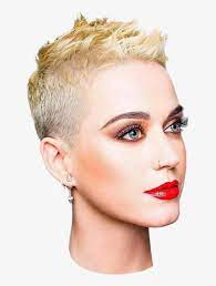 Maybe you would like to learn more about one of these? Report Abuse Katy Perry Cute Short Hair Free Transparent Png Download Pngkey