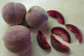 Then there is a dull thud not far from where you're standing. Fruits Of Summer Kendall Dunkelberg