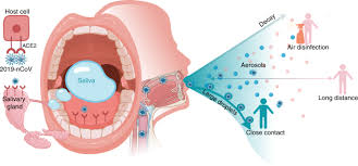 One in five people with covid still present with less common symptoms that. Saliva Potential Diagnostic Value And Transmission Of 2019 Ncov International Journal Of Oral Science