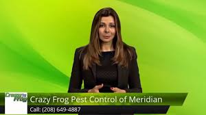 Crazy frog pest control has built a pest control presence that is is like none other in the boise id. Crazy Frog Pest Control Of Meridian Meridian Incredible Five Star Review By Ashley L Youtube
