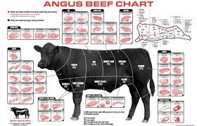 First, raising chickens not only does not cost anything, but shows a profit. Learn The Terms Used In Cattle Production Ritter Feedyards