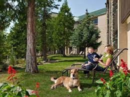 10 Dog Friendly Winter Getaways Dog Friends Pet Friendly Resort Yosemite National Park Lodging