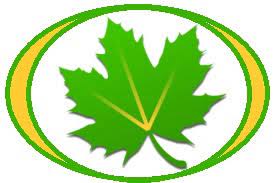 By you or other apps, while still preserving full functionality when running in the foreground. Greenify V3 9 1 Donate Apk Free Download Oceanofapk
