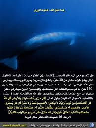 صورة وآية الحوت الأزرق موسوعة الكحيل للاعجاز العلمي