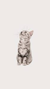 Wallpaper Tumblr Cat Iphone Wallpapers 37 Super Ideas Cat Phone Wallpaper Cute Cat Wallpaper Cat Wallpaper