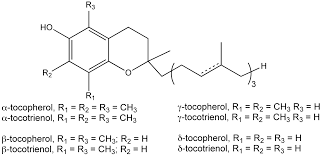 E Vitamin Tokoferol Tokotrienol Vitamin Fajtak