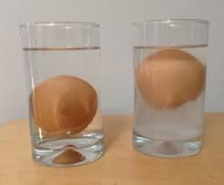 water science experiments
