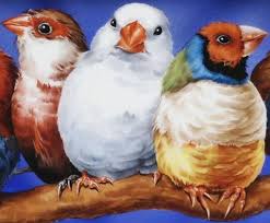 Pin By Simo Maio On Pets Animal Paintings Porcelain Painting Birds Painting