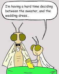 Moth Fine Dining By Sardonic Salad Nature Cartoon Toonpool Watch cartoons online both cartoons movies and cartoons series online for free. moth fine dining by sardonic salad
