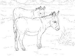 Über 7 millionen englische bücher. Two Donkeys Coloring Page Free Printable Coloring Pages Donkey Coloring Page Animal Coloring Books Horse Coloring Pages