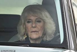 EDEN CONFIDENTIAL: Camilla's 'dear friend' Carolyn 'Chubby' Benson dies  aged 73