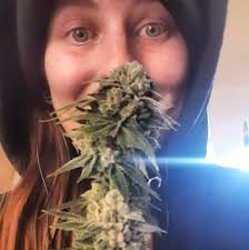 Anthony Bourdain: Elements of a Great Bar