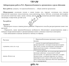 Ok Google гдз по английскому языку шестой класс вербицкая Skachat Besplatno Gdz Po Anglijskomu Yazyku 3 Klass Pod Red Verbickaya Biologiya Prirodovedenie 5 Klass