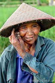 Rice Paddy Worker Bucket Hat Hats Rice Paddy