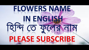 Pin On Learn Hindi Through English And Bengali Language